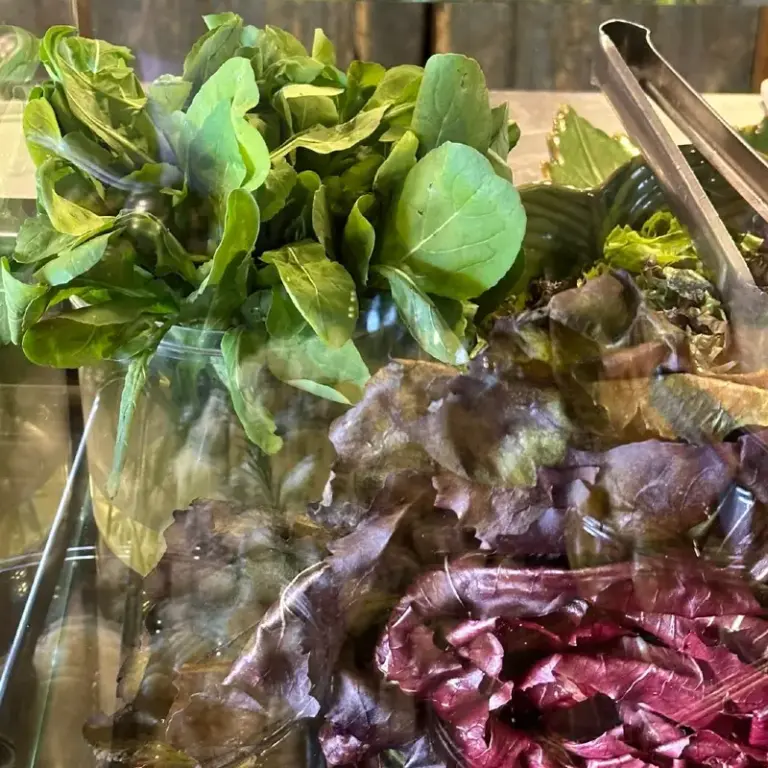 Monte Sua Salada