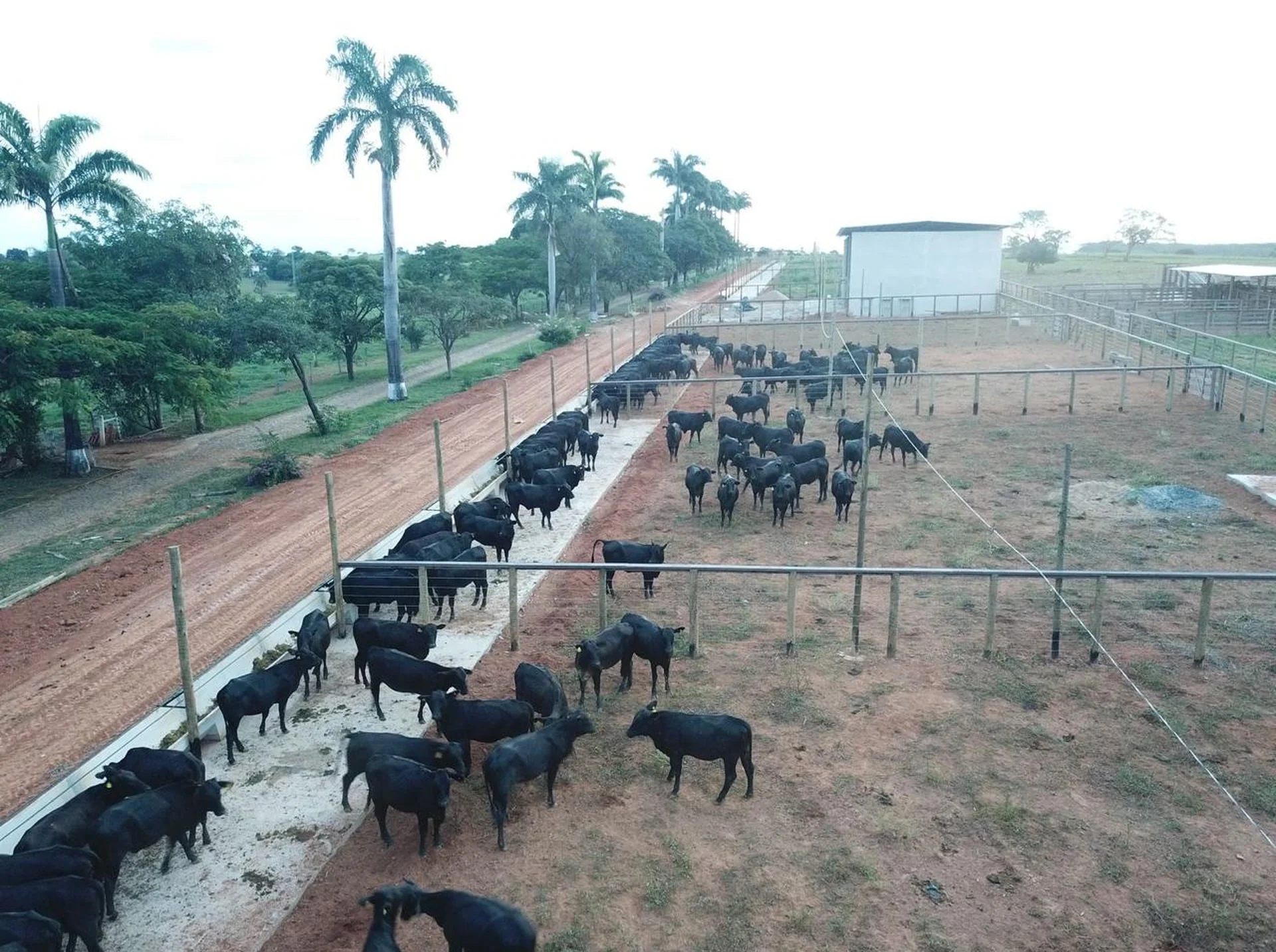 Fazenda própria do Porcão